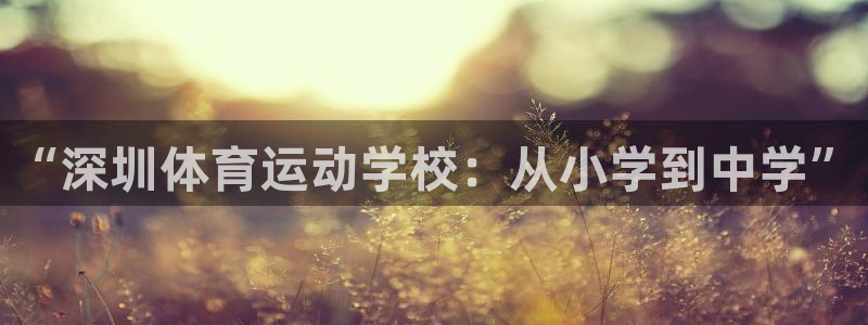 杏鑫4平台：“深圳体育运动学校：从小学到中学”