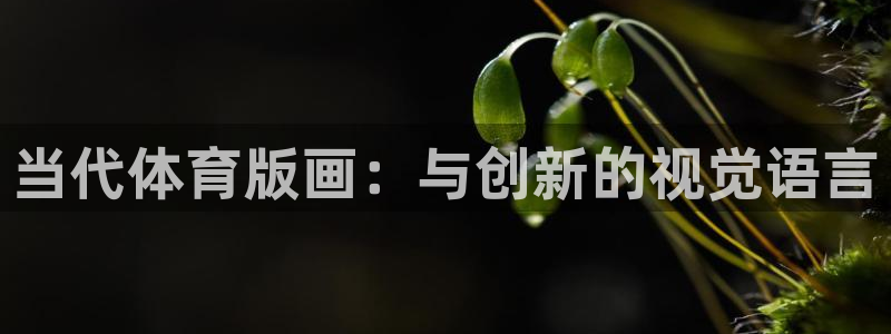 杏鑫代理注册官网入口：当代体育版画：与创新的视觉语言