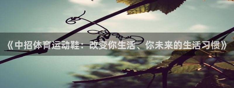 杏鑫体育用品：《中招体育运动鞋：改变你生活、你未来的生活习惯》