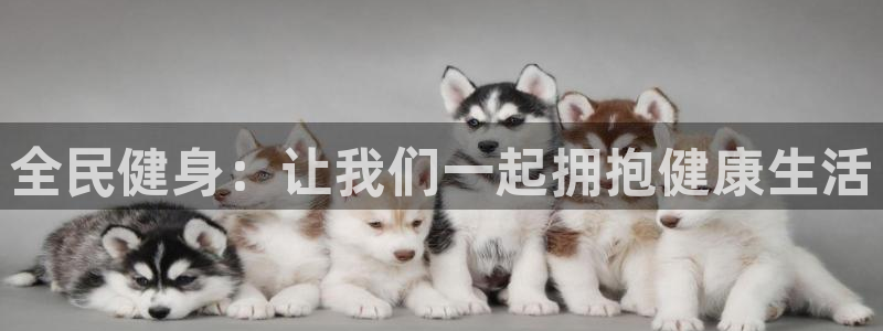 杏鑫包怎么样：全民健身：让我们一起拥抱健康生活