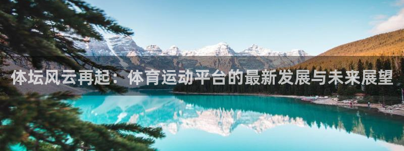 杏鑫凯捷开号链接：体坛风云再起：体育运动平台的最新发展与未来展望