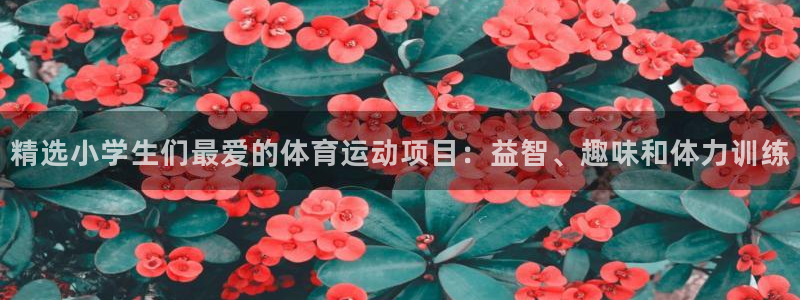 www.杏鑫体育.com：精选小学生们最爱的体育运动项目：益智、趣味和体力训练
