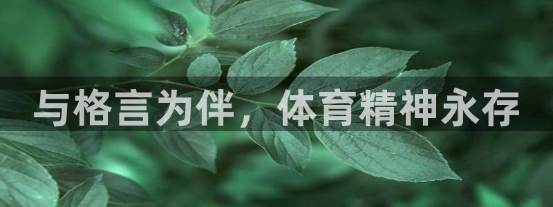 杏鑫主管：与格言为伴，体育精神永存