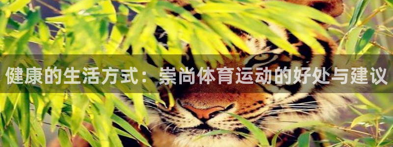 杏鑫体育凯捷平台招商：健康的生活方式：崇尚体育运动的好处与建议