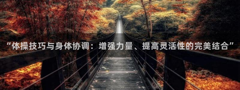杏鑫集团总部：“体操技巧与身体协调：增强力量、提高灵活性的完美结合”