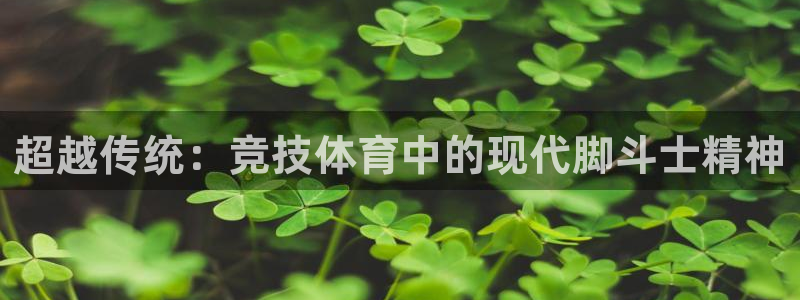 杏鑫包怎么样：超越传统：竞技体育中的现代脚斗士精神