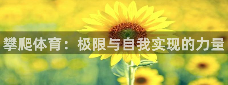 杏鑫2体育登录入口：攀爬体育：极限与自我实现的力量