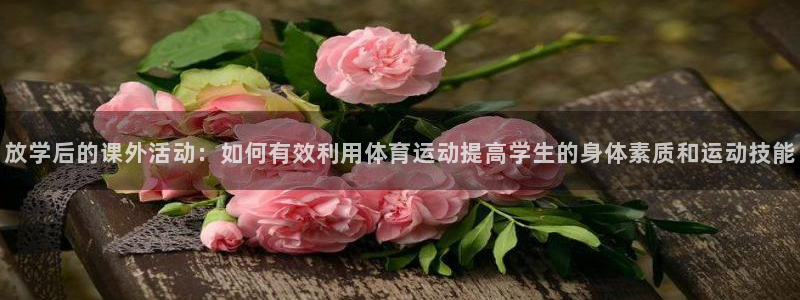 杏鑫体育凯捷平台注册：放学后的课外活动：如何有效利用体育运动提高学生的身体素质和
