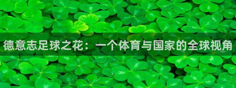 杏鑫体育平台开号链接：德意志足球之花：一个体育与国家的全球视角