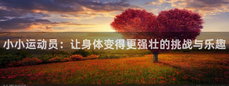 杏鑫电子有限公司：小小运动员：让身体变得更强壮的挑战与乐趣