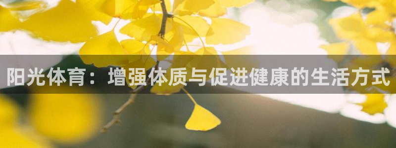 杏鑫体育1招商：阳光体育：增强体质与促进健康的生活方式