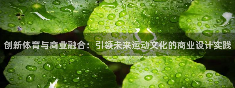 杏鑫体育1招商：创新体育与商业融合：引领未来运动文化的商业设计实践