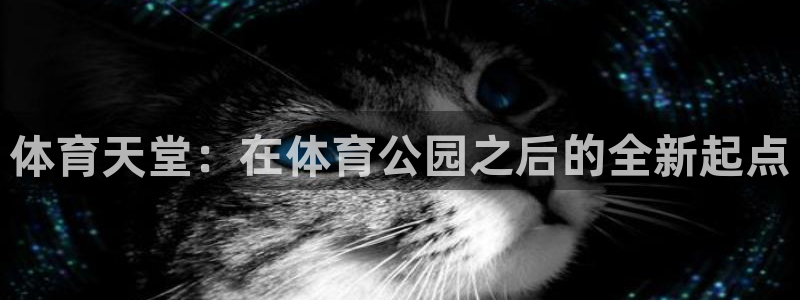 杏鑫3官网：体育天堂：在体育公园之后的全新起点