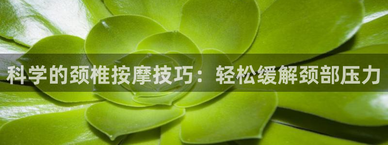 杏鑫体育app下载