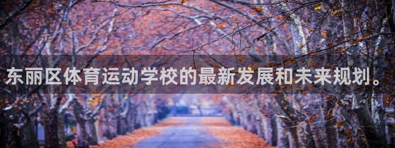 杏鑫体育用品：东丽区体育运动学校的最新发展和未来规划。